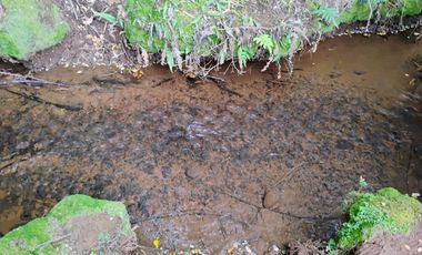 Hermosas Parcelas con vista al Volcán y Valle de Villarrica