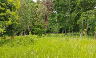 Hermosas Parcelas con vista al Volcán y Valle de Villarrica