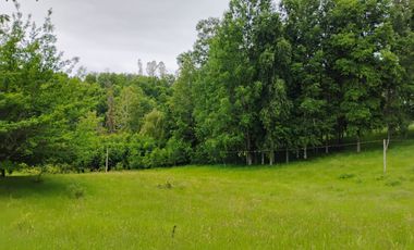 Hermosas Parcelas con vista al Volcán y Valle de Villarrica