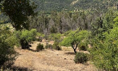 Vendo parcelas con Rol Propio con Luz y Agua en Codegua