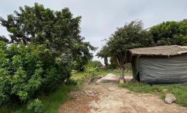 TERRENO EN LURÍN IDEAL ALMACÉN, RESTAURANTE CAMPESTRE, CAMPO SANTO