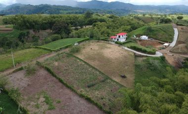 LOTES CAMPESTRES EN VENTA VIA PEREIRA ALCALA
