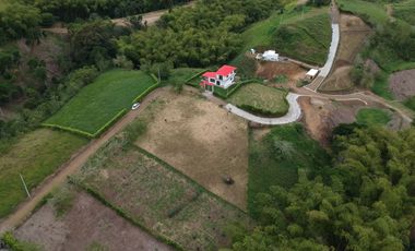 LOTES CAMPESTRES EN VENTA VIA PEREIRA ALCALA