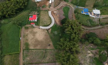 LOTES CAMPESTRES EN VENTA VIA PEREIRA ALCALA