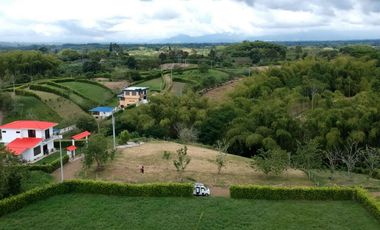 LOTES CAMPESTRES EN VENTA VIA PEREIRA ALCALA