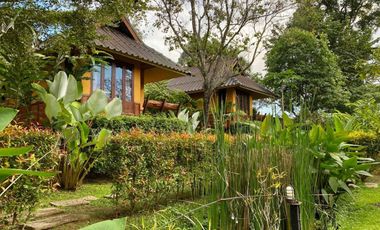 Highly rated boutique resort for sale in Pai