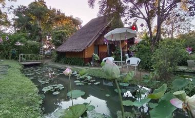 Highly rated boutique resort for sale in Pai