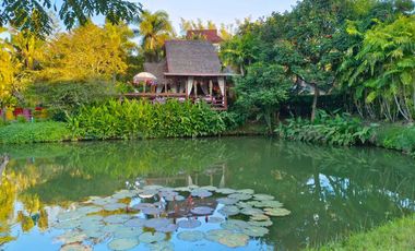 Highly rated boutique resort for sale in Pai