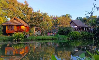 Highly rated boutique resort for sale in Pai