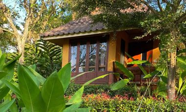 Highly rated boutique resort for sale in Pai