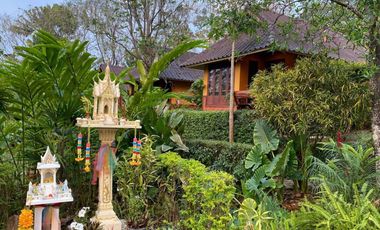 Highly rated boutique resort for sale in Pai