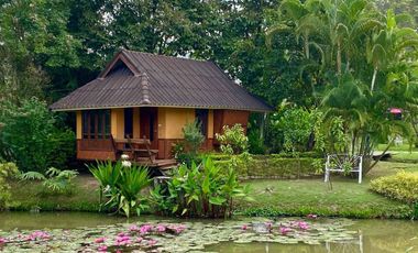 Highly rated boutique resort for sale in Pai