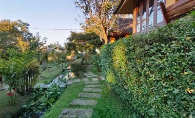 Highly rated boutique resort for sale in Pai