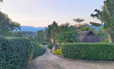 Highly rated boutique resort for sale in Pai
