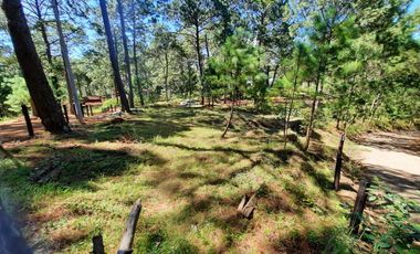 Terreno en Mazamitla