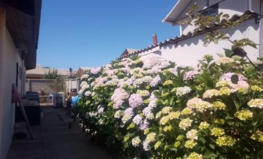 Venta de propiedad en Algarrobo Centro