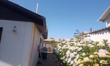 Venta de propiedad en Algarrobo Centro