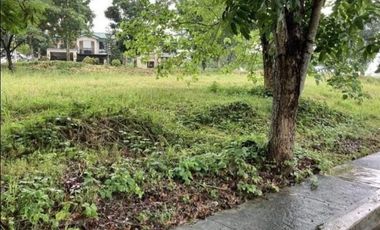 Panoramic Lot for Sale in Colinas Verdes 255 sqm
