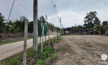 Land for sale, 2 plots, san kampheang , Chiang Mai, 185 sq.wa., 206 sq.wa. (ID:252LS)