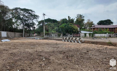 Land for sale, 2 plots, san kampheang , Chiang Mai, 185 sq.wa., 206 sq.wa. (ID:252LS)