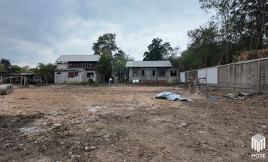 Land for sale, 2 plots, san kampheang , Chiang Mai, 185 sq.wa., 206 sq.wa. (ID:252LS)