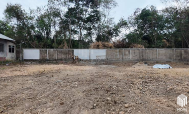 Land for sale, 2 plots, san kampheang , Chiang Mai, 185 sq.wa., 206 sq.wa. (ID:252LS)