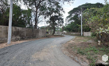 Land for sale, 2 plots, san kampheang , Chiang Mai, 185 sq.wa., 206 sq.wa. (ID:252LS)