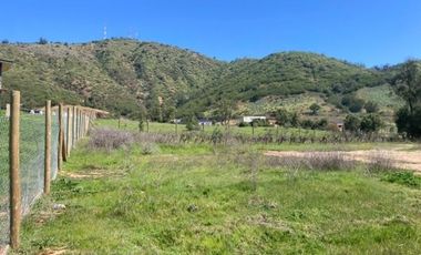 Arriendo parcela de 5.000m2 en Casablanca