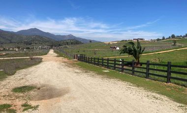 Arriendo parcela de 5.000m2 en Casablanca