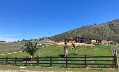 Arriendo parcela de 5.000m2 en Casablanca