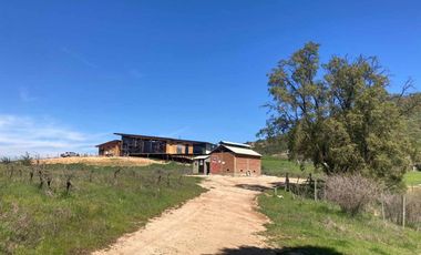 Arriendo parcela de 5.000m2 en Casablanca