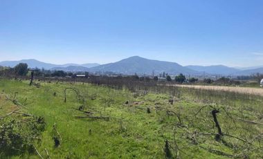 Arriendo parcela de 5.000m2 en Casablanca