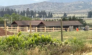 Arriendo parcela de 5.000m2 en Casablanca