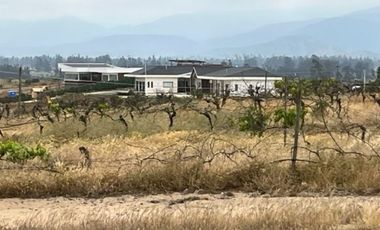 Arriendo parcela de 5.000m2 en Casablanca