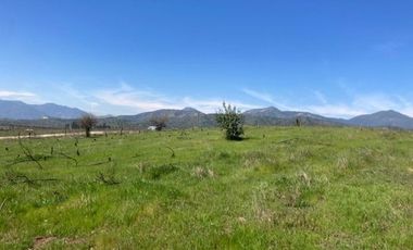 Arriendo parcela de 5.000m2 en Casablanca