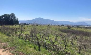 Arriendo parcela de 5.000m2 en Casablanca