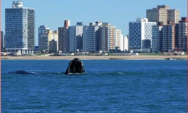 Se Venden 30 Lotes En Miramar, Costa Atlantica, De 10 X 35 En Barrio Cerrado - Sin Exp. Se Financia Hasta El 50%, Se Toman Vehiculos En Parte De Pago.