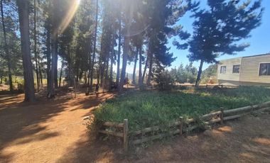 Venta de Parcela  Los Pinares Norte, Algarrobo
