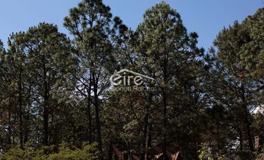 Terrenos en Venta - Sendero de Los Venados, Atemajac de Brizuela, Jalisco.