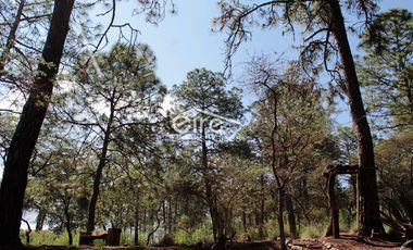 Terrenos en Venta - Sendero de Los Venados, Atemajac de Brizuela, Jalisco.