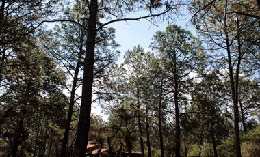 Terrenos en Venta - Sendero de Los Venados, Atemajac de Brizuela, Jalisco.
