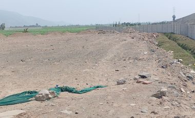 VENTA DE TERRENO EN CHANCAY, 1.15 HAS Y 1.22 HAS, ALTURA KM 74-75, TERRENO IDEAL PARA GRIFO