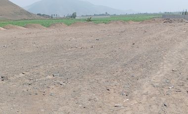 VENTA DE TERRENO EN CHANCAY, 1.15 HAS Y 1.22 HAS, ALTURA KM 74-75, TERRENO IDEAL PARA GRIFO