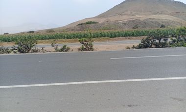 VENTA DE TERRENO EN CHANCAY, 1.15 HAS Y 1.22 HAS, ALTURA KM 74-75, TERRENO IDEAL PARA GRIFO