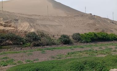 VENTA DE TERRENO EN CHANCAY, 1.15 HAS Y 1.22 HAS, ALTURA KM 74-75, TERRENO IDEAL PARA GRIFO