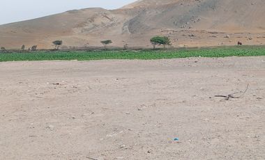 VENTA DE TERRENO EN CHANCAY, 1.15 HAS Y 1.22 HAS, ALTURA KM 74-75, TERRENO IDEAL PARA GRIFO