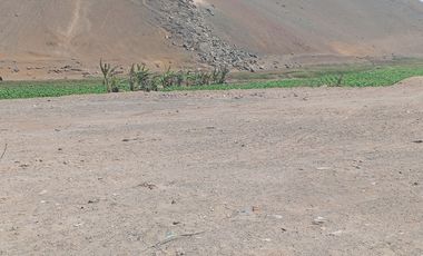 VENTA DE TERRENO EN CHANCAY, 1.15 HAS Y 1.22 HAS, ALTURA KM 74-75, TERRENO IDEAL PARA GRIFO