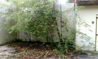Propiedad Ideal para Tu Proyecto – 267.28 m²