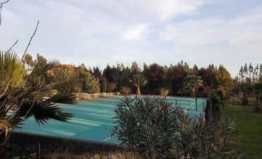 Venta De Parcela En Sector De La Petrilla, Algarrobo.