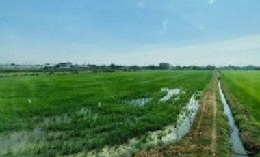 บ้านแฝด ลำลูกกาคลอง6 ซอยเทศบาลลำลูกกา 3 ถนนลำลูกกาคลอง 6 ปทุมธานี
